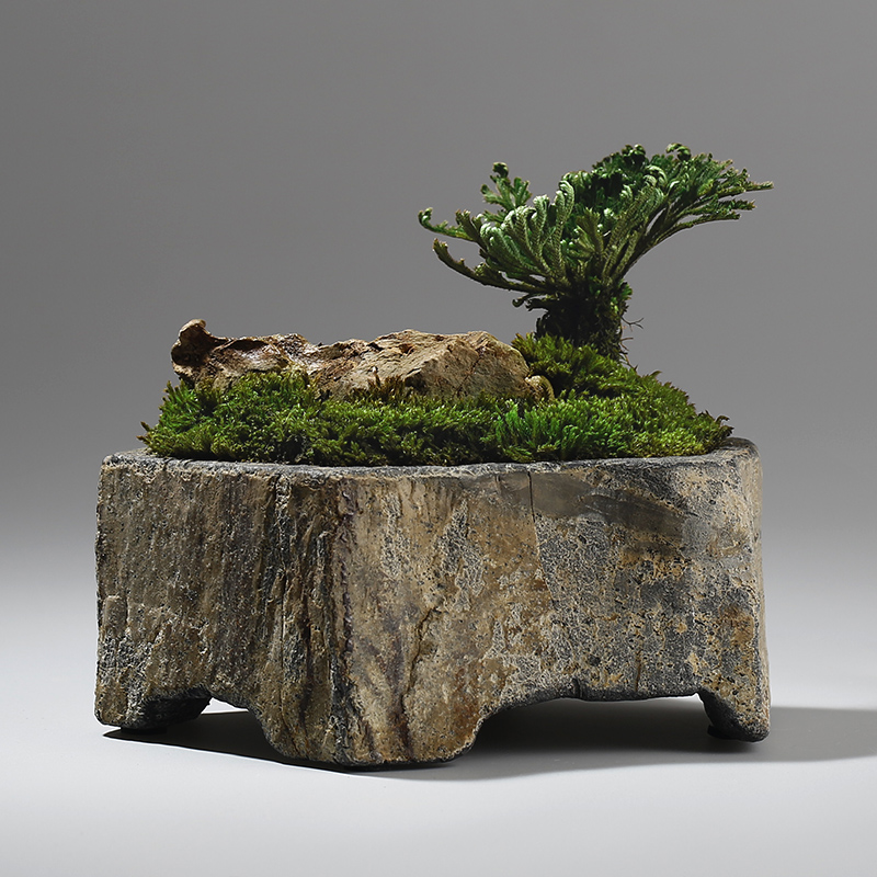 Bonsai Garden Indoor - กระถางดอกไม้หินบะซอลต์ธรรมชาติ งานแฮนด์เมด สำหรับปลูกไม้อวบน้ำ ตกแต่งบ้าน สำนักงาน โต๊ะทำงาน
