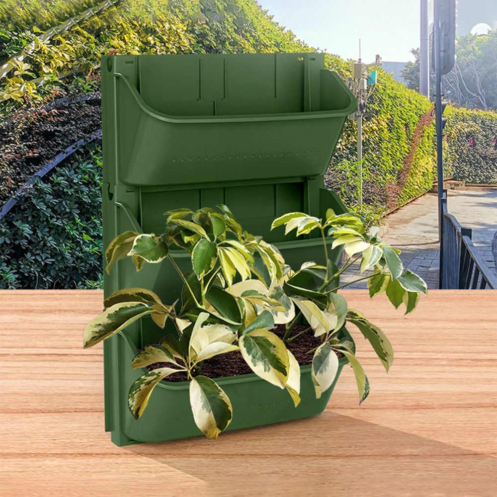 กระถางแขวนติดผนังสำหรับตกแต่งส - Bonsai Garden Nursery บทวิจารณ์และราคา