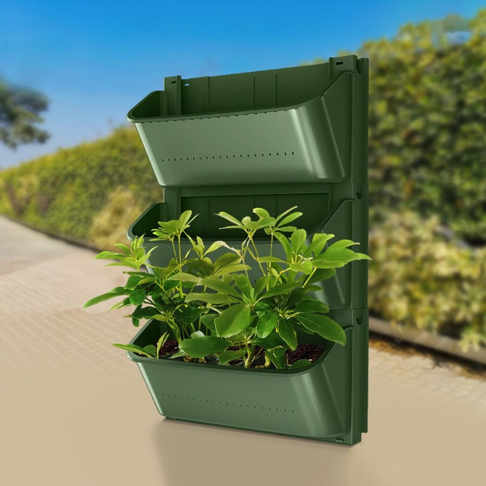 กระถางแขวนติดผนังสำหรับตกแต่งส - Bonsai Garden Nursery บทวิจารณ์และราคา