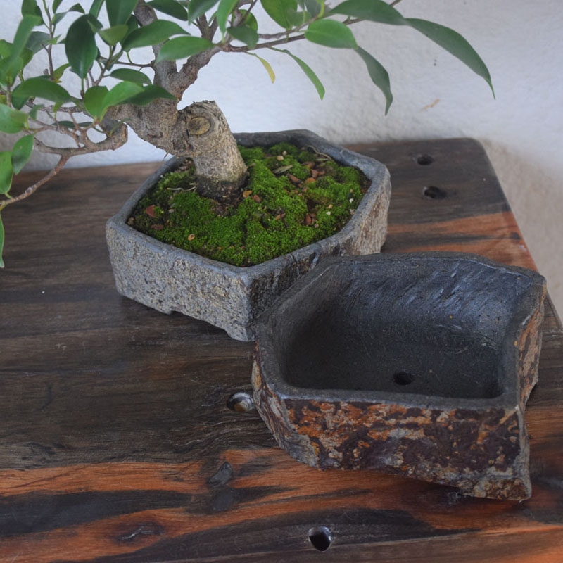 กระถางดอกไม้หินบะซอลต์ธรรมชาติ - Bonsai Garden Indoor บทวิจารณ์และราคา