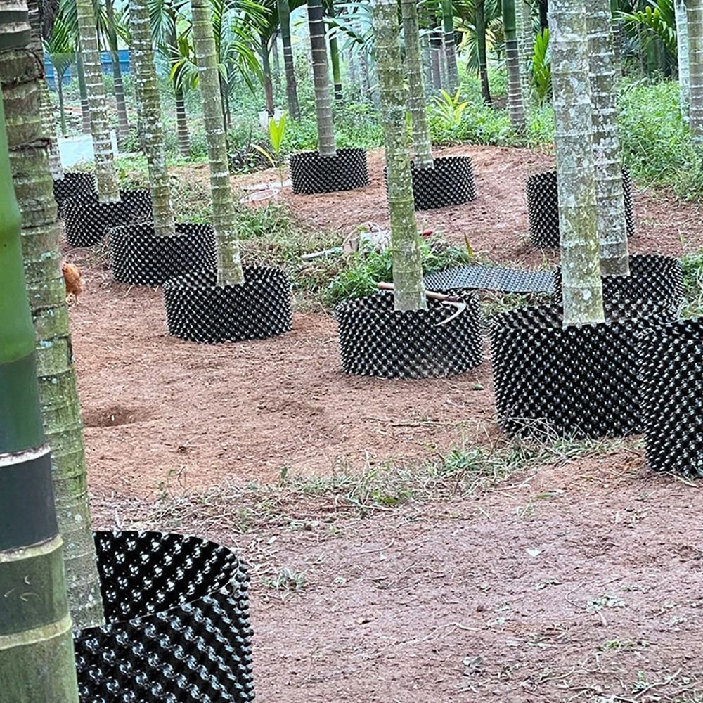 ชุดกระถางต้นไม้ 1 ชุด ทนทาน แห - Bonsai Garden Nursery บทวิจารณ์และราคา