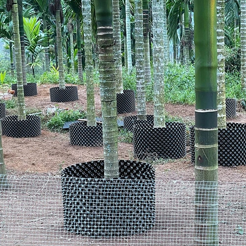 ชุดกระถางต้นไม้ 1 ชุด ทนทาน แห - Bonsai Garden Nursery บทวิจารณ์และราคา