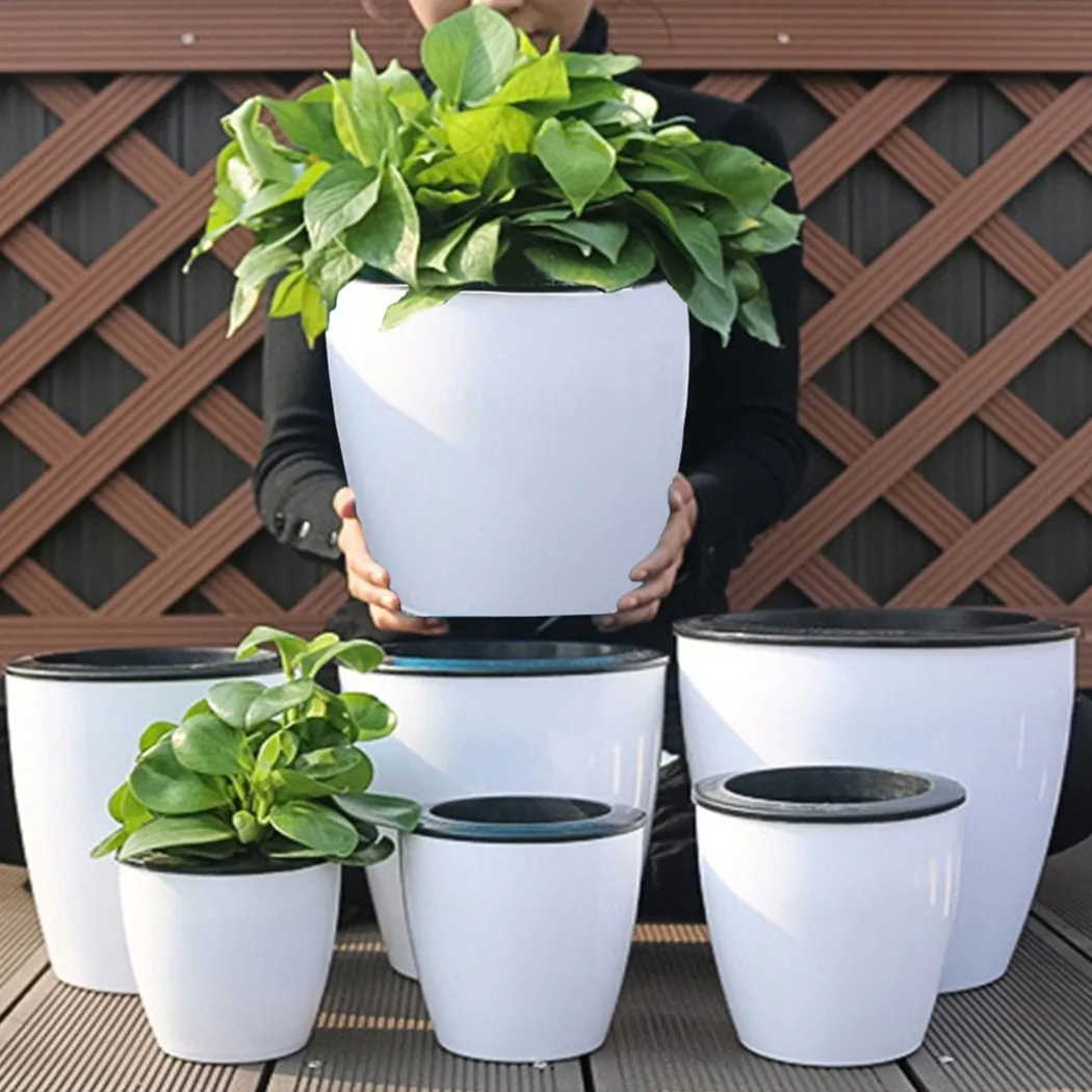Lazy ดอกไม้หม้อรดน้ำกระถางดอกไ - Bonsai Garden Nursery บทวิจารณ์และราคา