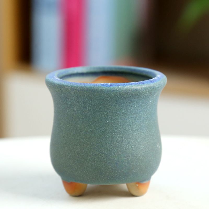 MINI เนื้อกระถางดอกไม้เซรามิค, - Training Pot Ceramic บทวิจารณ์และราคา