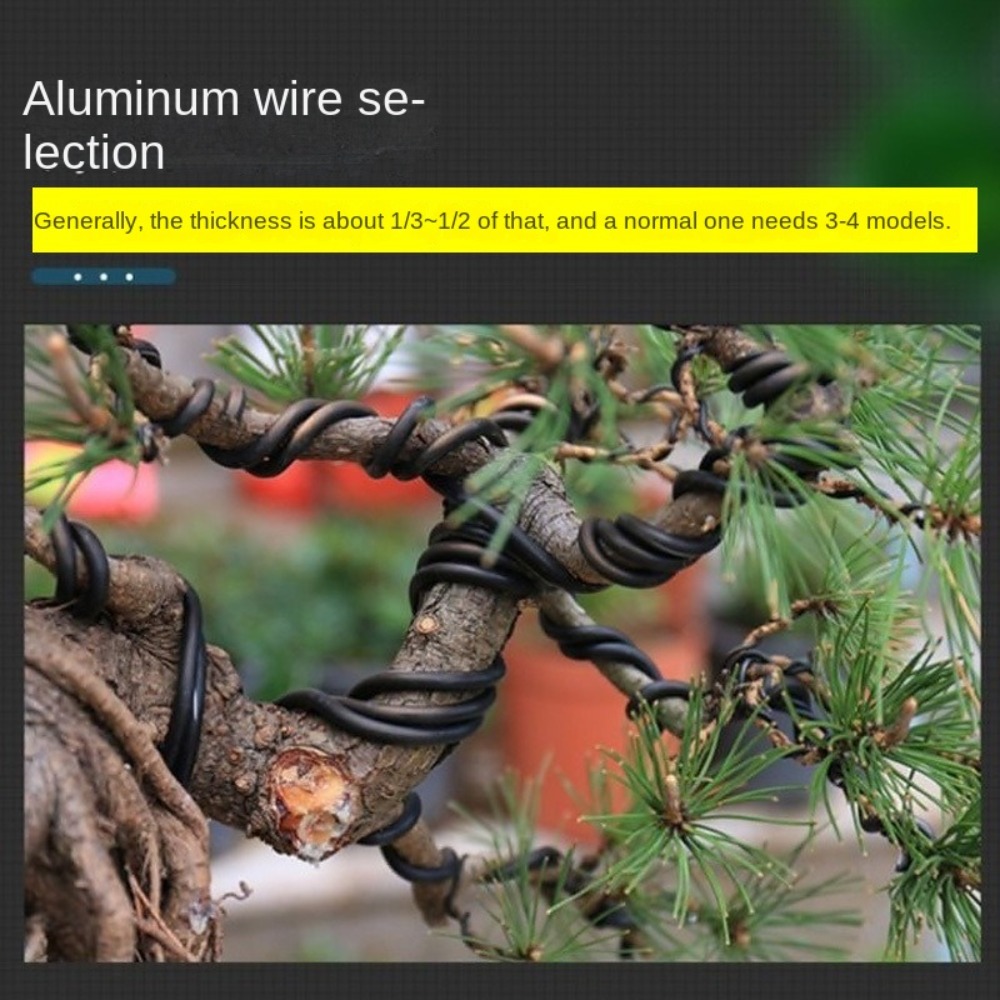 ลวดอลูมิเนียมสำหรับบอนไซ ขนาด  - Bonsai Wire Aluminum บทวิจารณ์และราคา