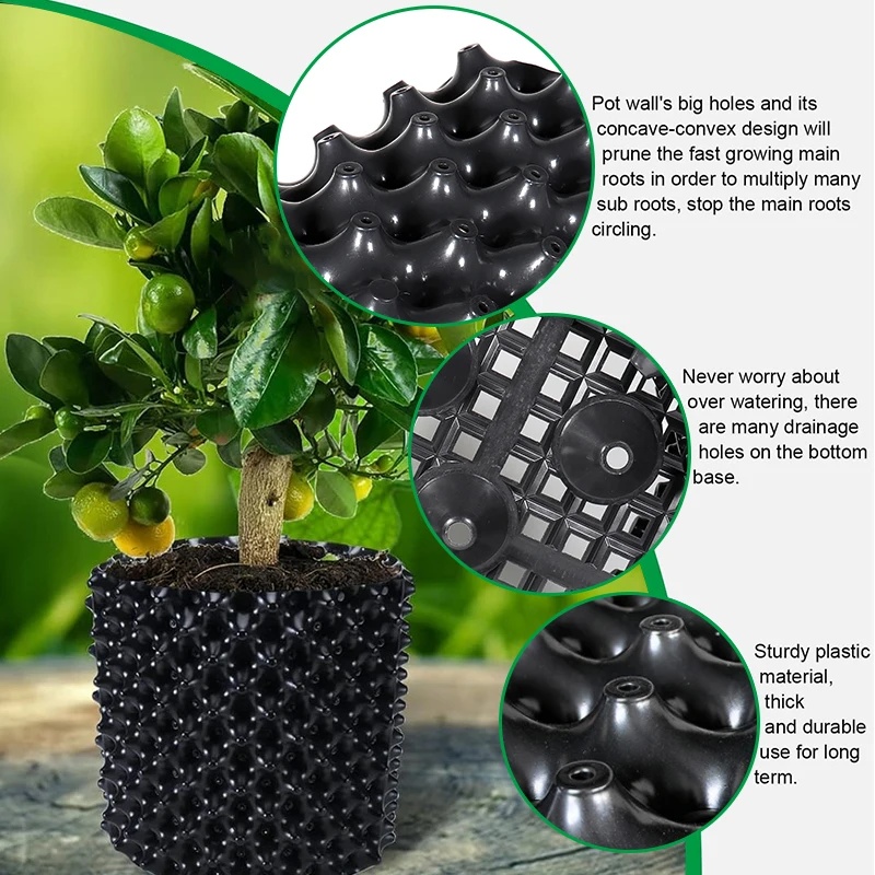 กระถางเพาะชำควบคุมการเจริญเติบ - Bonsai Garden Nursery บทวิจารณ์และราคา