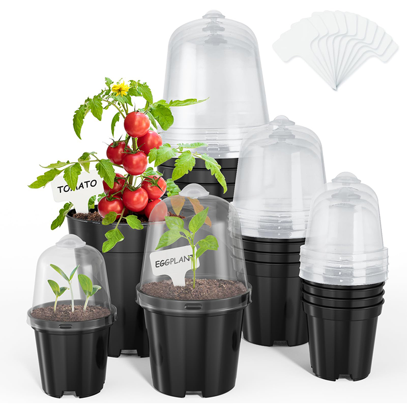 กระถางเพาะชำ กระถางดอกไม้ สำหร - Bonsai Garden Indoor บทวิจารณ์และราคา