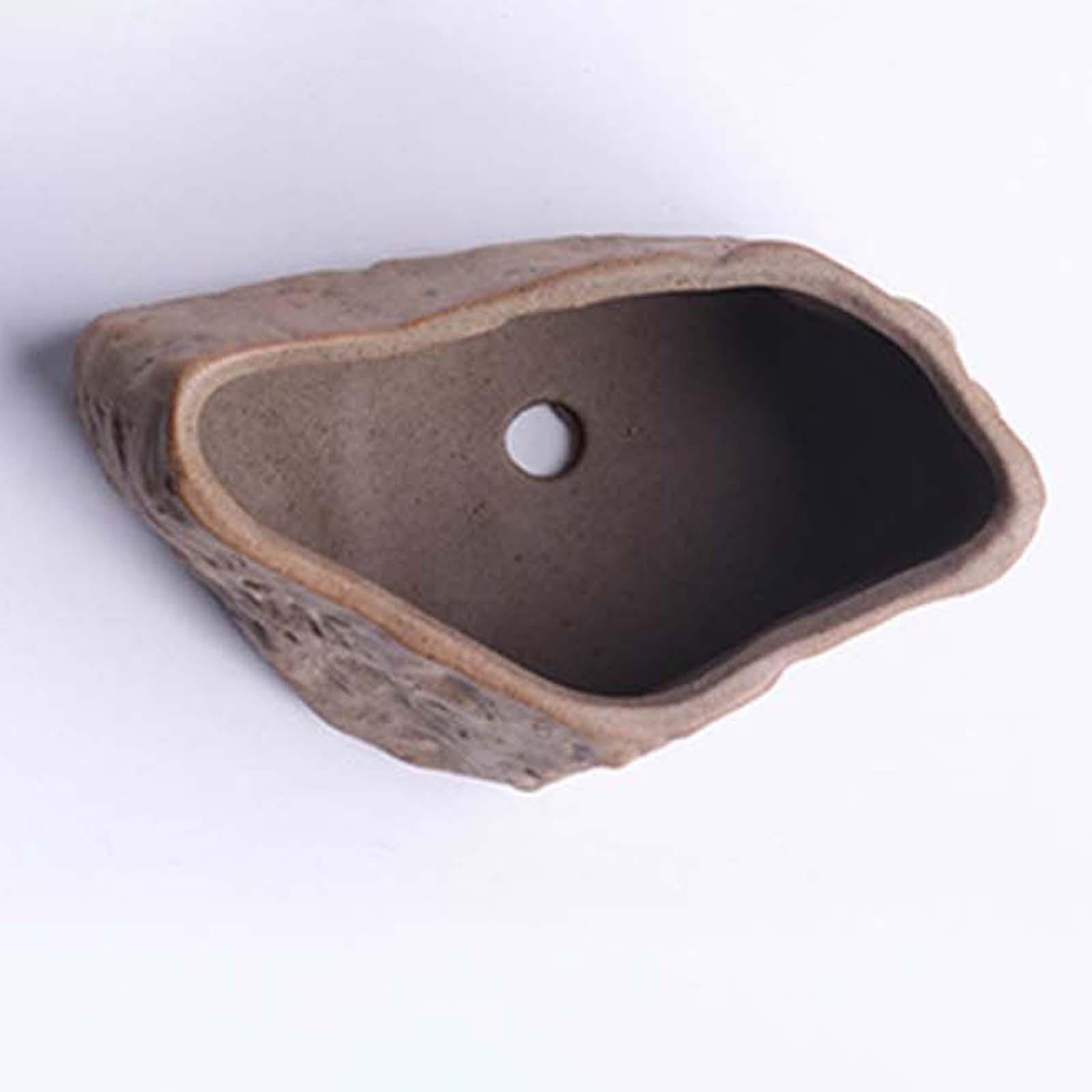 กระถางเซรามิกสำหรับปลูกไม้อวบน - Training Pot Ceramic บทวิจารณ์และราคา