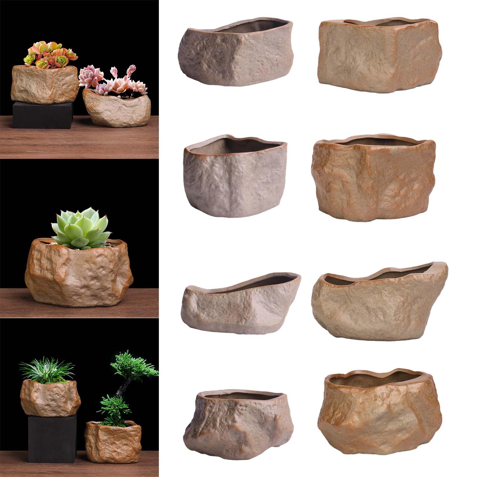 กระถางเซรามิกสำหรับปลูกไม้อวบน - Training Pot Ceramic บทวิจารณ์และราคา