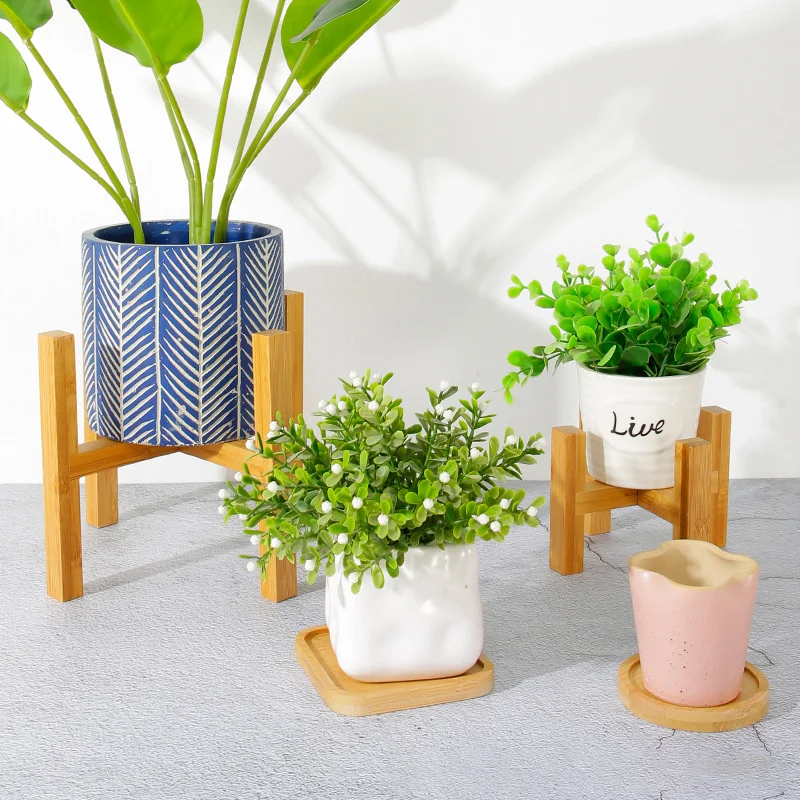 ดอกไม้พืชหม้อขนาดเล็กทนทานถาดไ - Bonsai Garden Indoor บทวิจารณ์และราคา