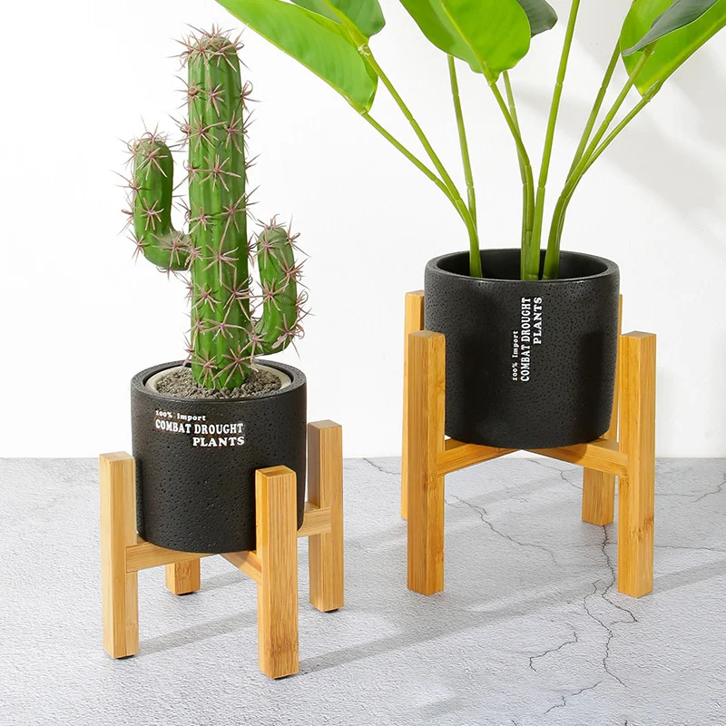 ดอกไม้พืชหม้อขนาดเล็กทนทานถาดไ - Bonsai Garden Indoor บทวิจารณ์และราคา