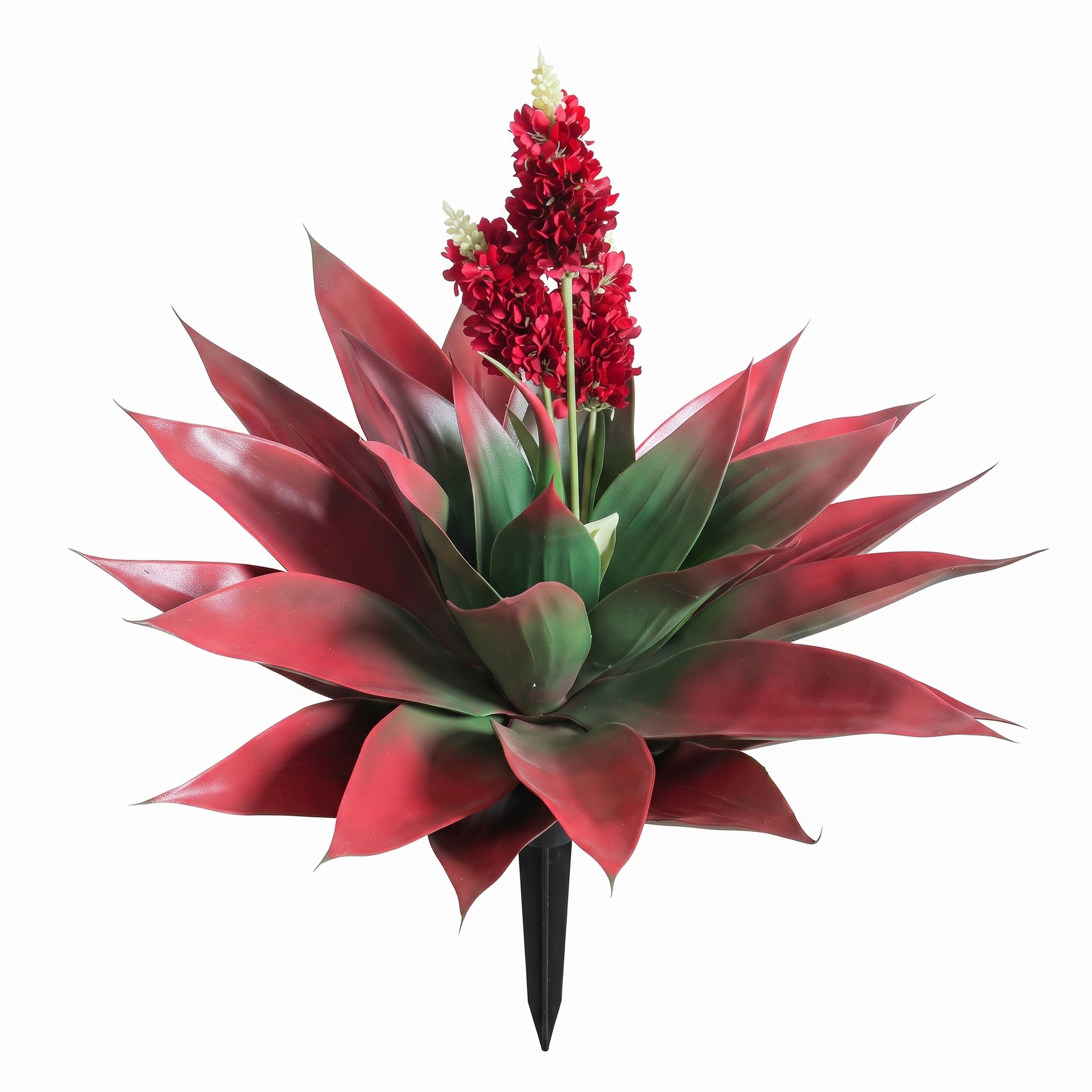 ต้นอากาเว่เทียมขนาดใหญ่พร้อมดอ - Bonsai Garden Indoor บทวิจารณ์และราคา