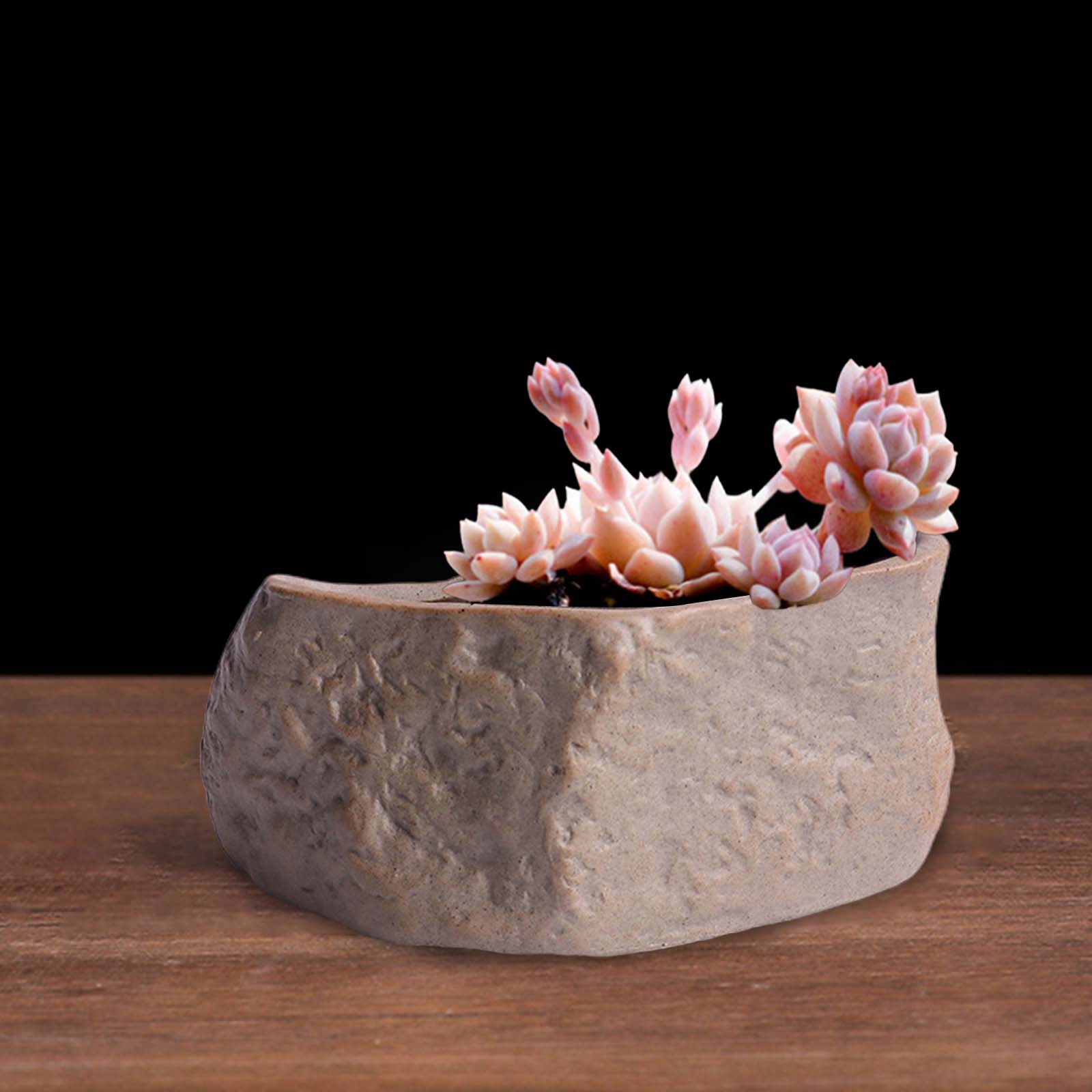 เซรามิค Succulent หม้อหินรูปร่ - Training Pot Ceramic บทวิจารณ์และราคา