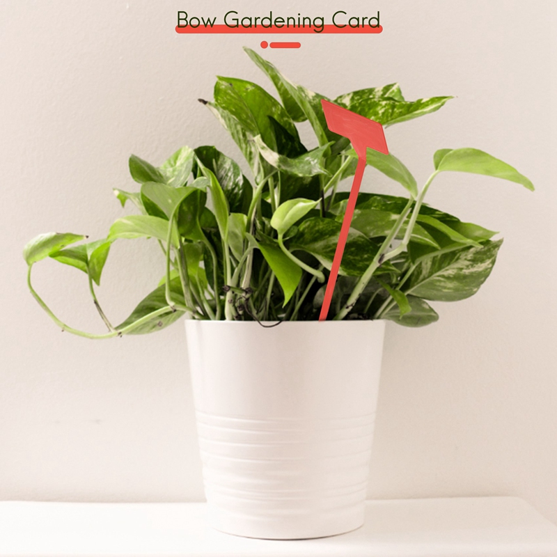 ABYP สวนเครื่องมือปลูก 50 ชิ้น - Bonsai Garden Nursery บทวิจารณ์และราคา