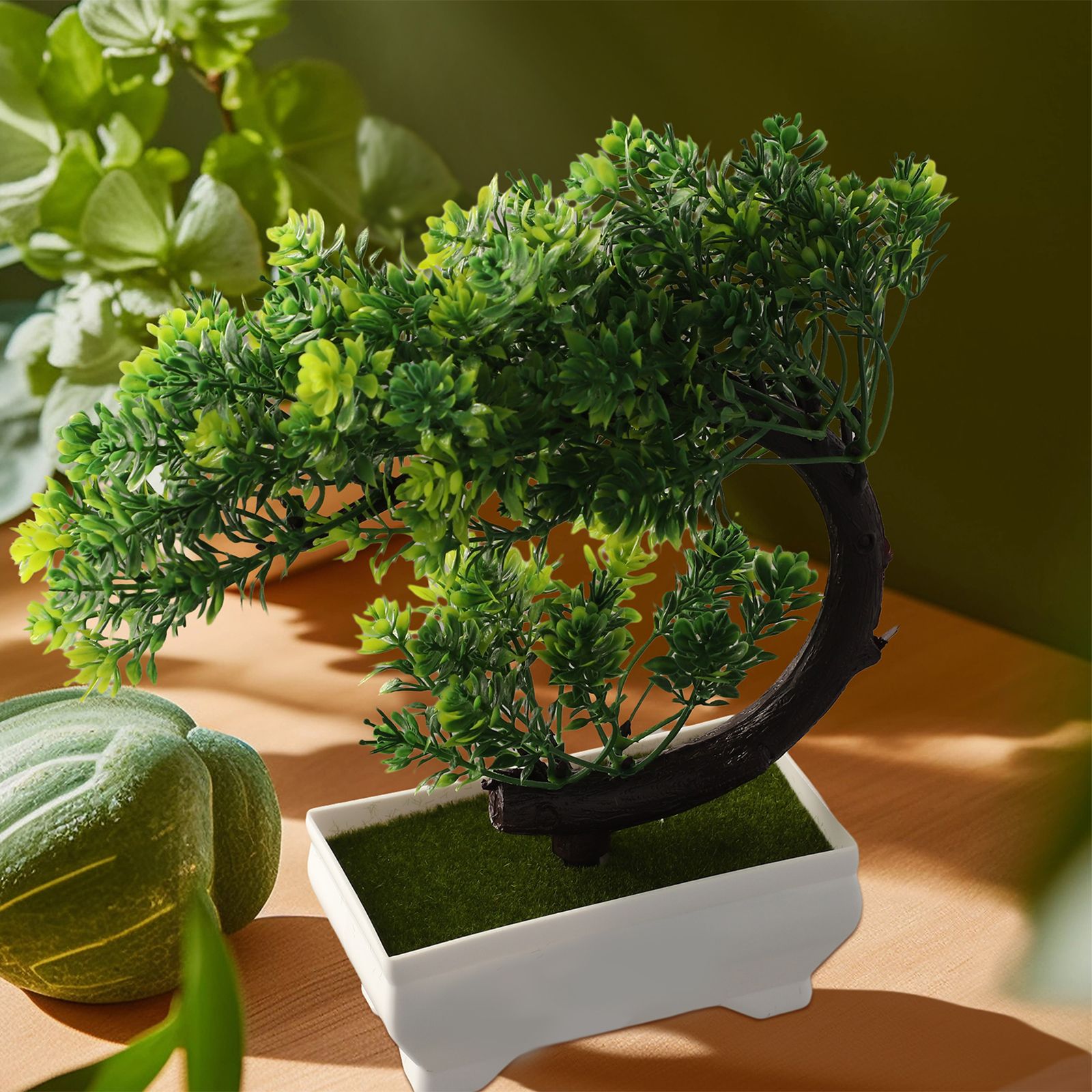 ต้นบอนไซประดับในกระถางพลาสติกส - Bonsai Garden Indoor บทวิจารณ์และราคา