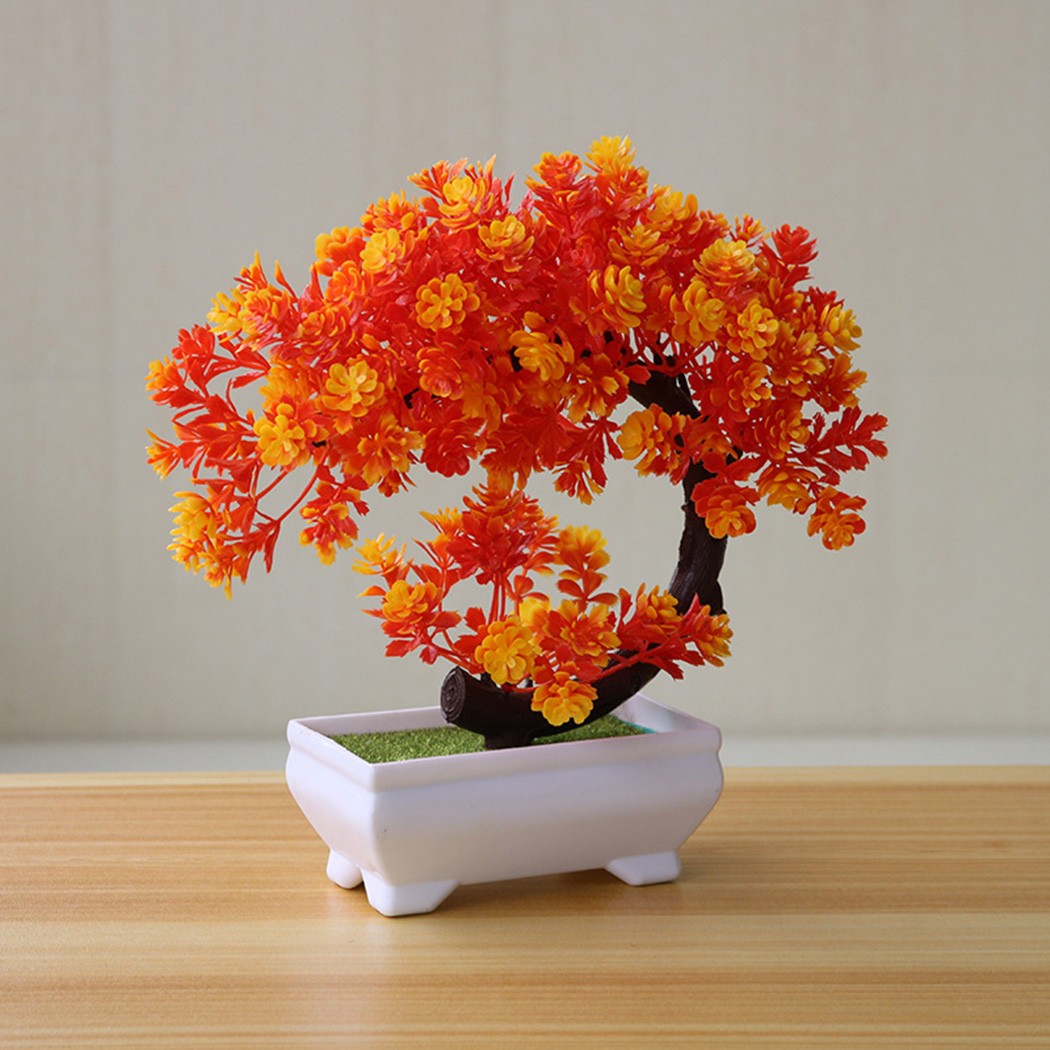ต้นบอนไซประดับในกระถางพลาสติกส - Bonsai Garden Indoor บทวิจารณ์และราคา
