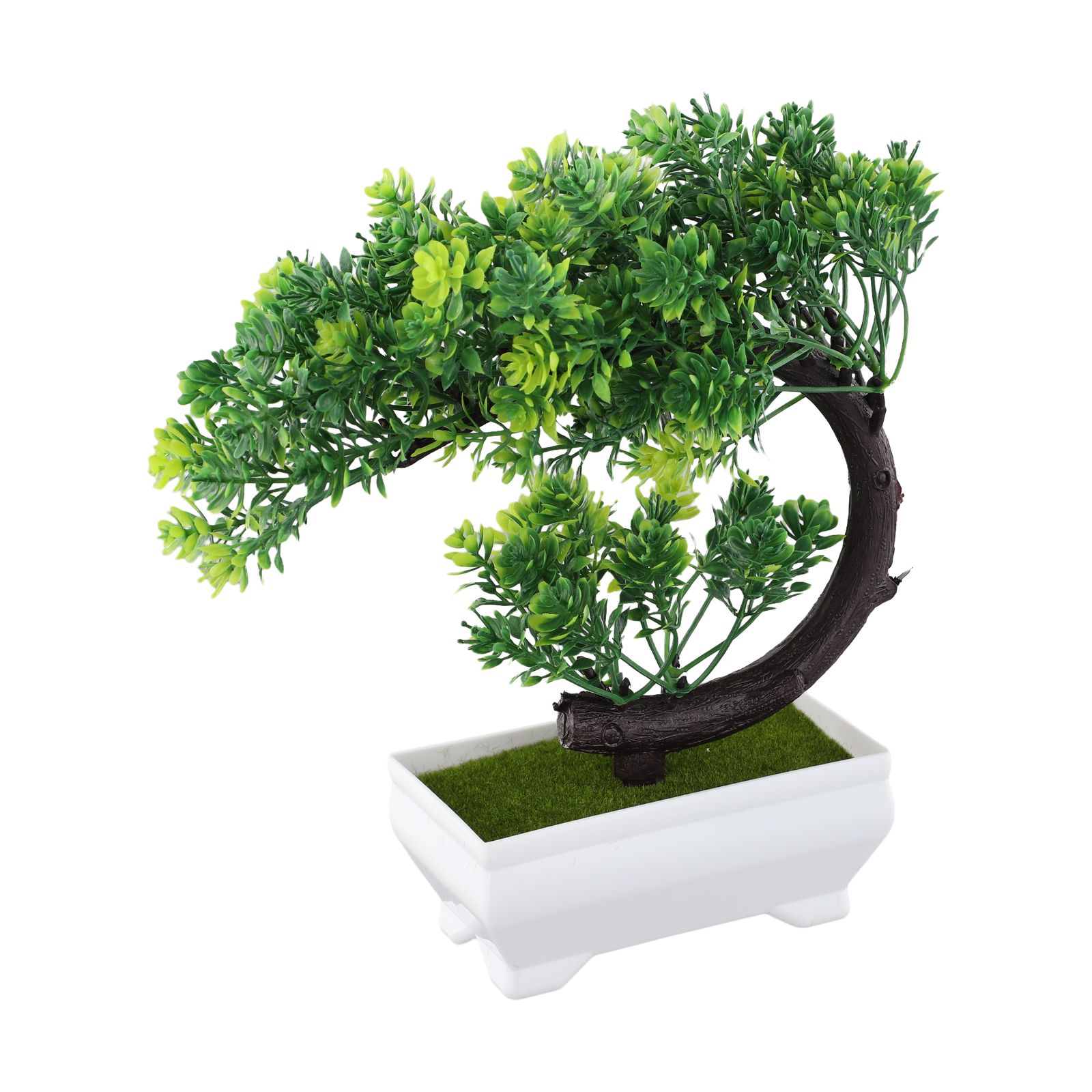 ต้นบอนไซประดับในกระถางพลาสติกส - Bonsai Garden Indoor บทวิจารณ์และราคา