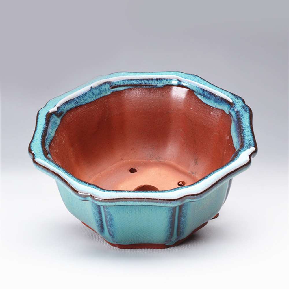 กระถางบอนไซสไตล์จีน กระถางบอนไ - Training Pot Ceramic บทวิจารณ์และราคา