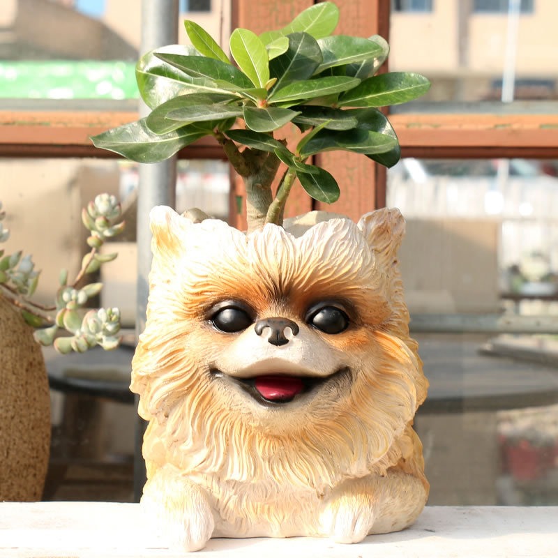 3D สัตว์หัวแจกันรูปการ์ตูนหม้อ - Bonsai Garden Nursery บทวิจารณ์และราคา