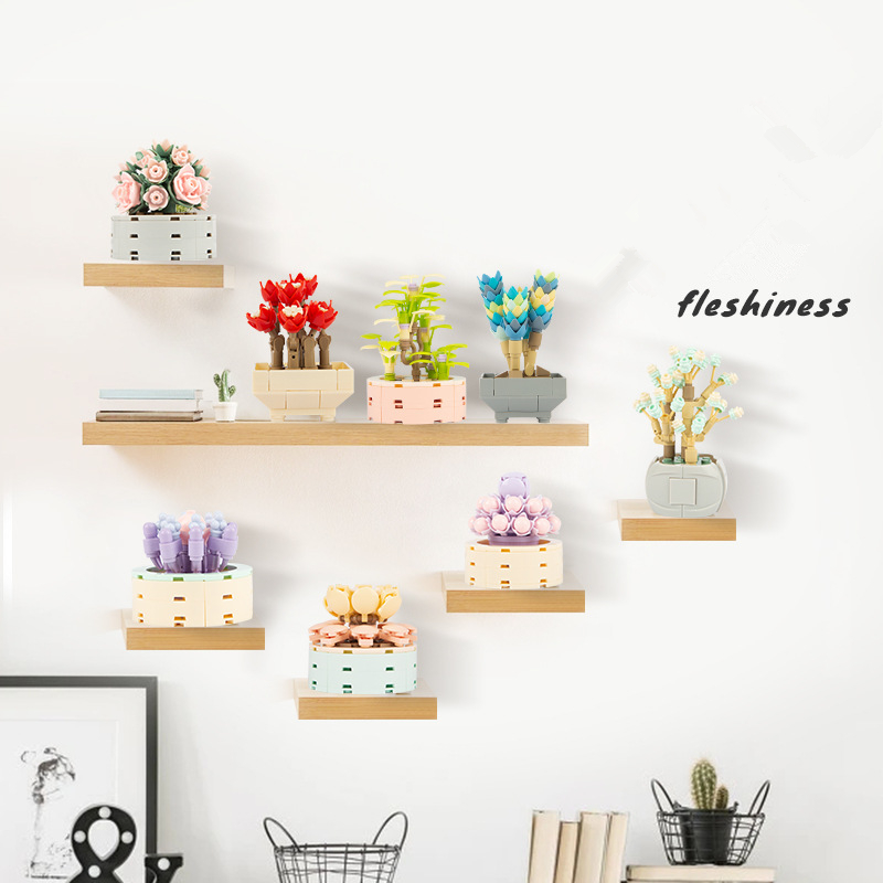 DIY MOC Potted พืช Succulents  - Bonsai Garden Experts บทวิจารณ์และราคา