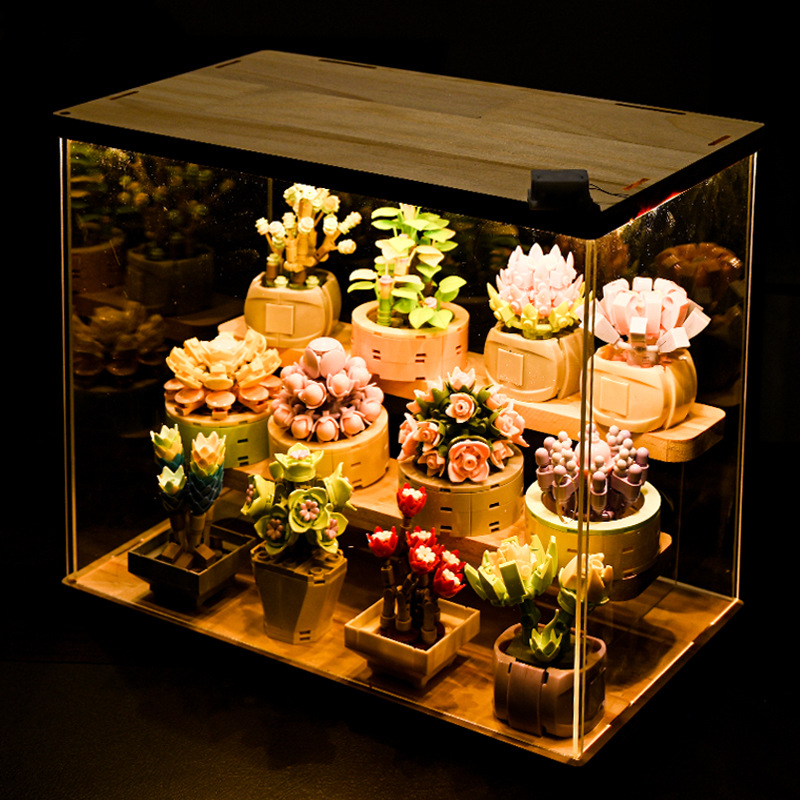 DIY MOC Potted พืช Succulents  - Bonsai Garden Experts บทวิจารณ์และราคา