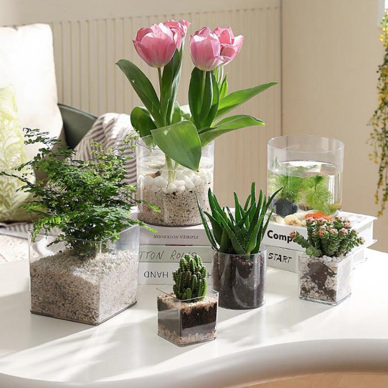 กระถางปลูกต้นไม้อะคริลิคใสทรงส - Bonsai Garden Nursery บทวิจารณ์และราคา