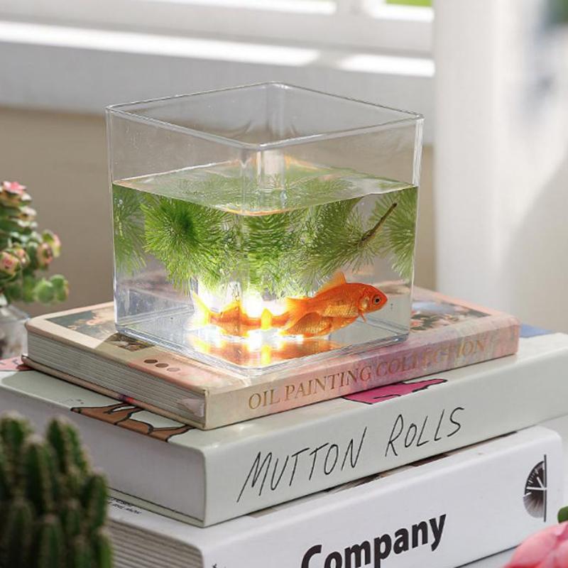 กระถางปลูกต้นไม้อะคริลิคใสทรงส - Bonsai Garden Nursery บทวิจารณ์และราคา
