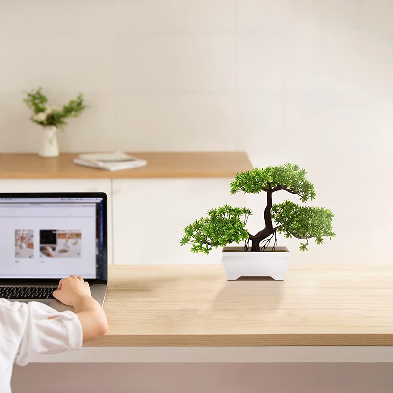 บอนไซประดิษฐ์พลาสติก Bionic โร - Bonsai Garden Indoor บทวิจารณ์และราคา