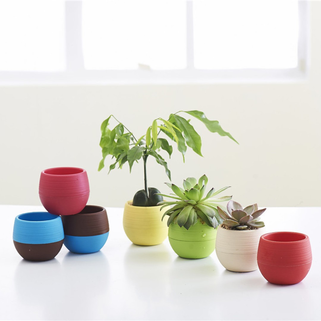 สวนมินิดอกไม้พลาสติกหม้อ Nurse - Bonsai Garden Nursery บทวิจารณ์และราคา