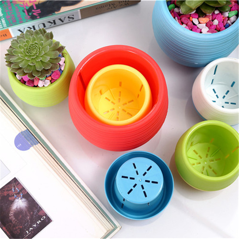 สวนมินิดอกไม้พลาสติกหม้อ Nurse - Bonsai Garden Nursery บทวิจารณ์และราคา