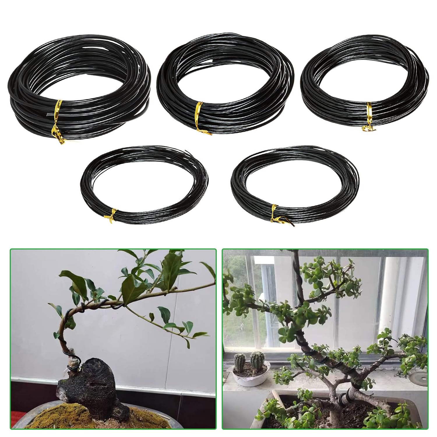 ลวดอลูมิเนียมชุบอโนไดซ์สำหรับจ - Bonsai Wire Aluminum บทวิจารณ์และราคา